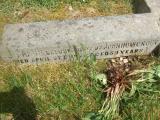 image of grave number 833840